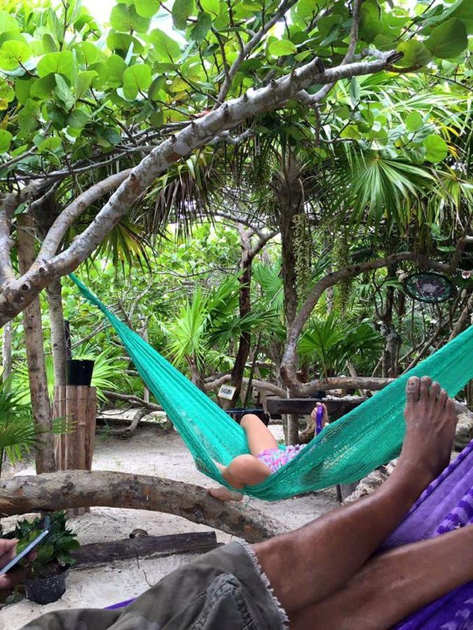 Camping Revolucion Pancho