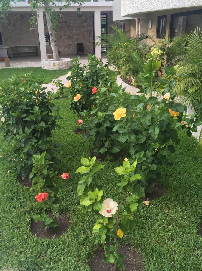 Boutique Jabin Hotel Tulum