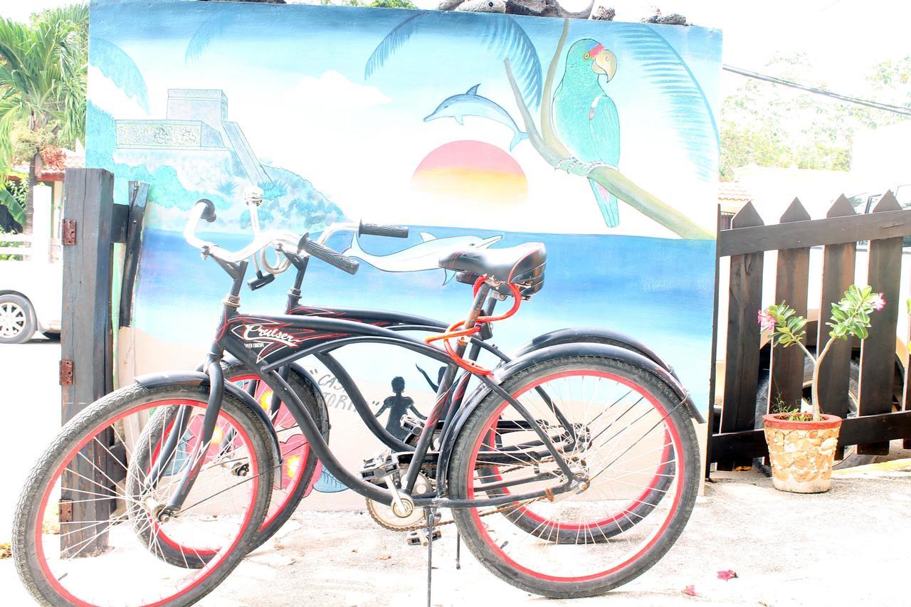 Casa Cotorro Adventures * Tulum