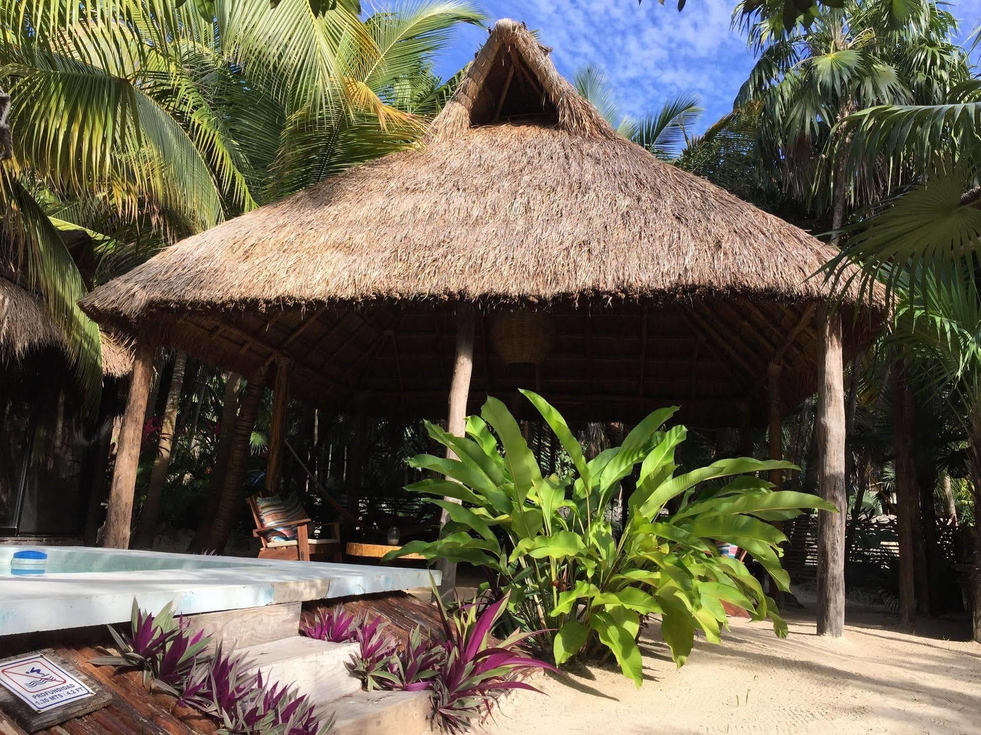 Hotel Manglex Eco 3*