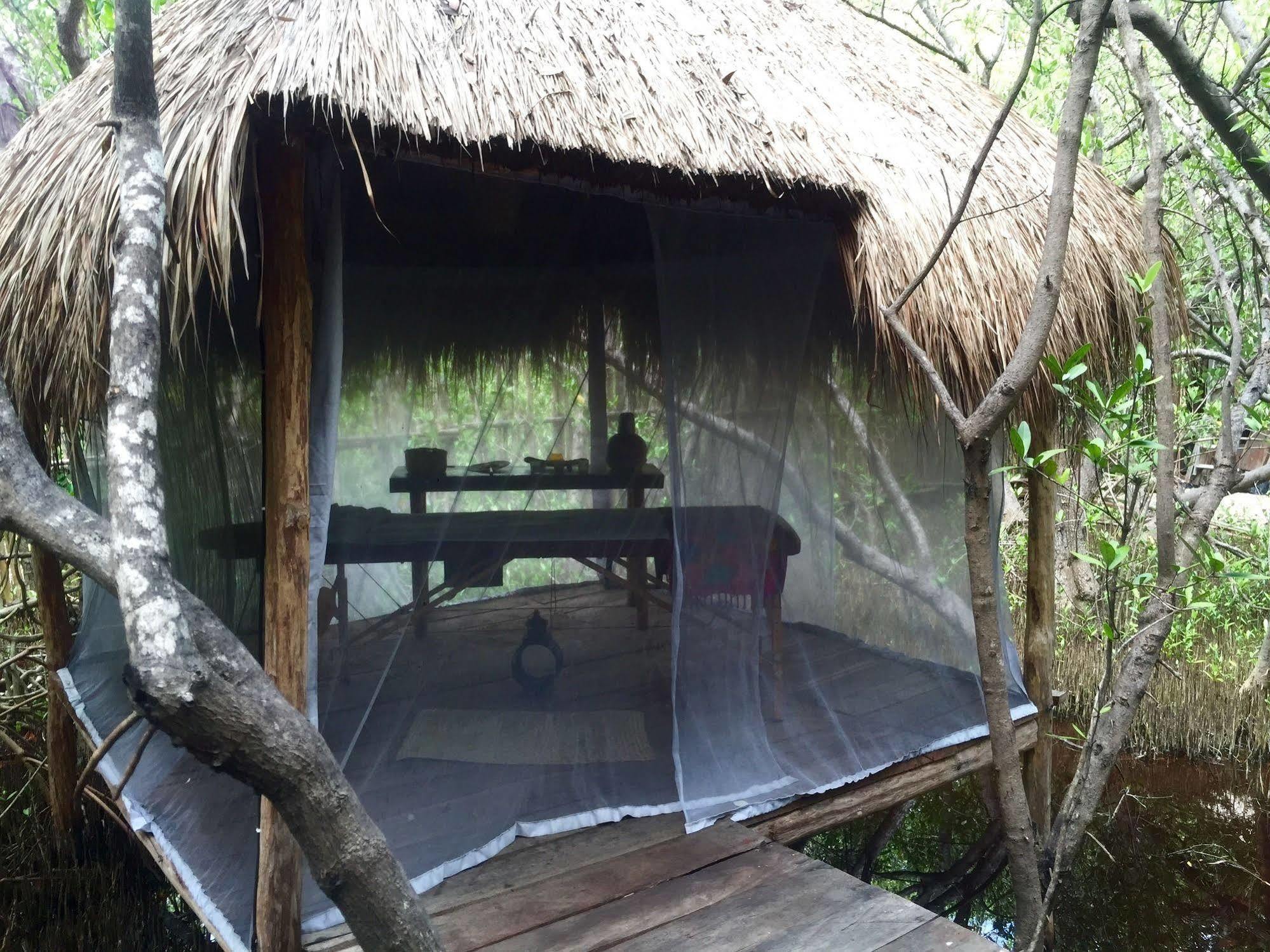 Hotel Manglex Eco