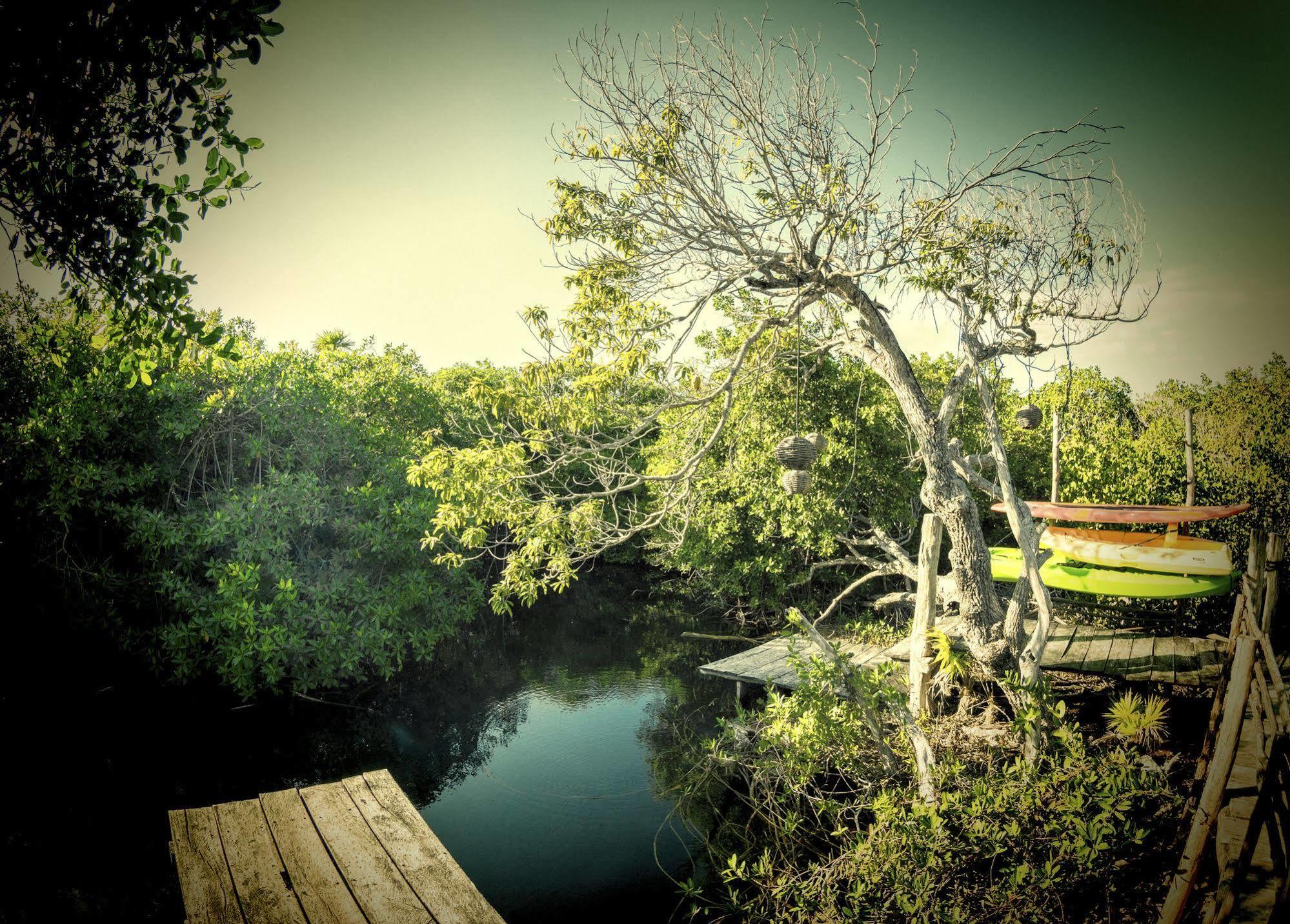 Manglex Eco Tulum