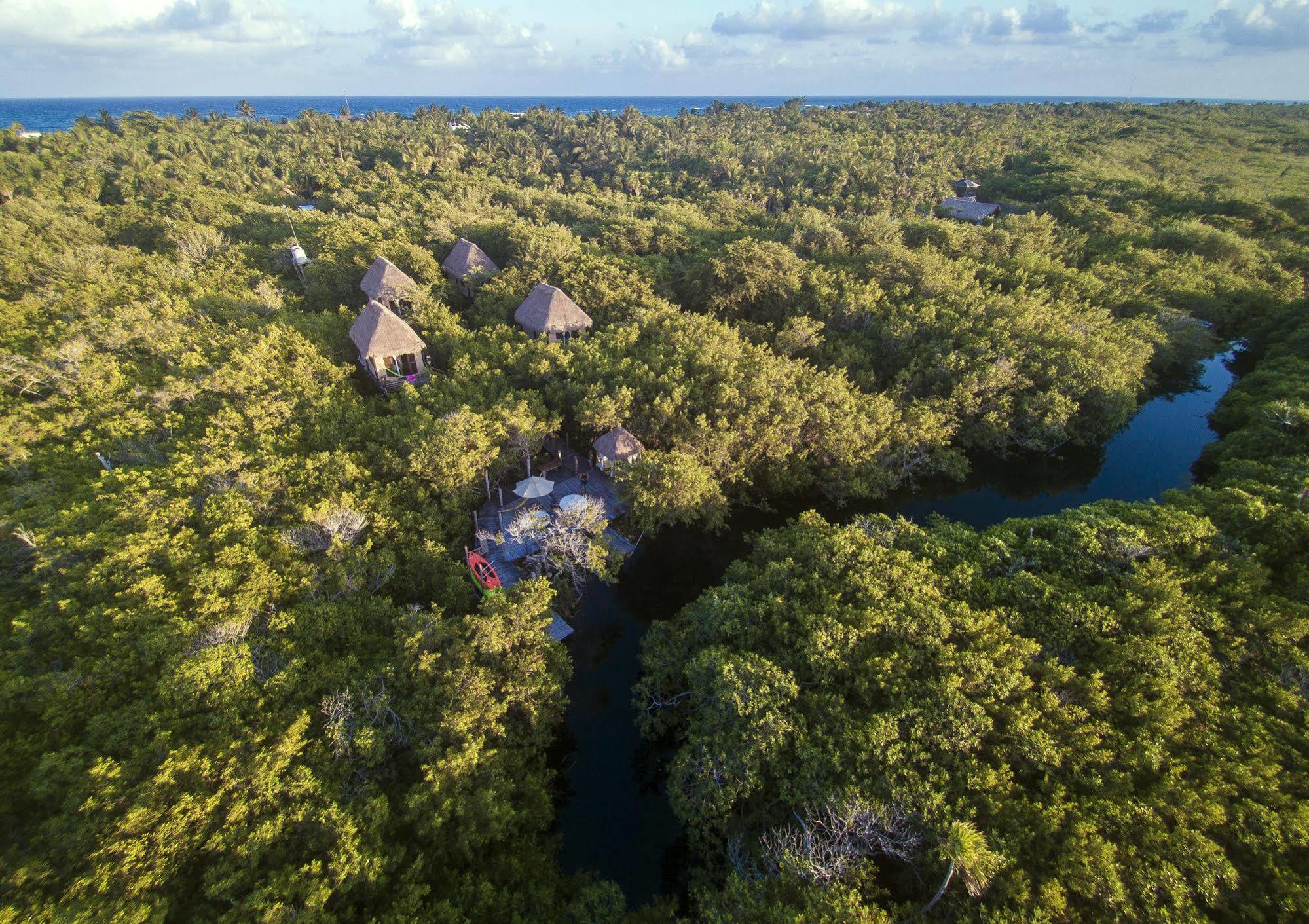 Hotel Manglex Eco Tulum