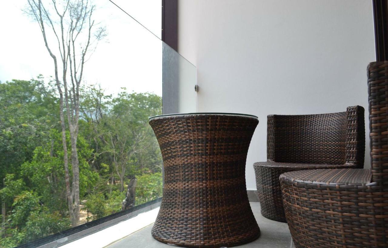 Departamento Colibri