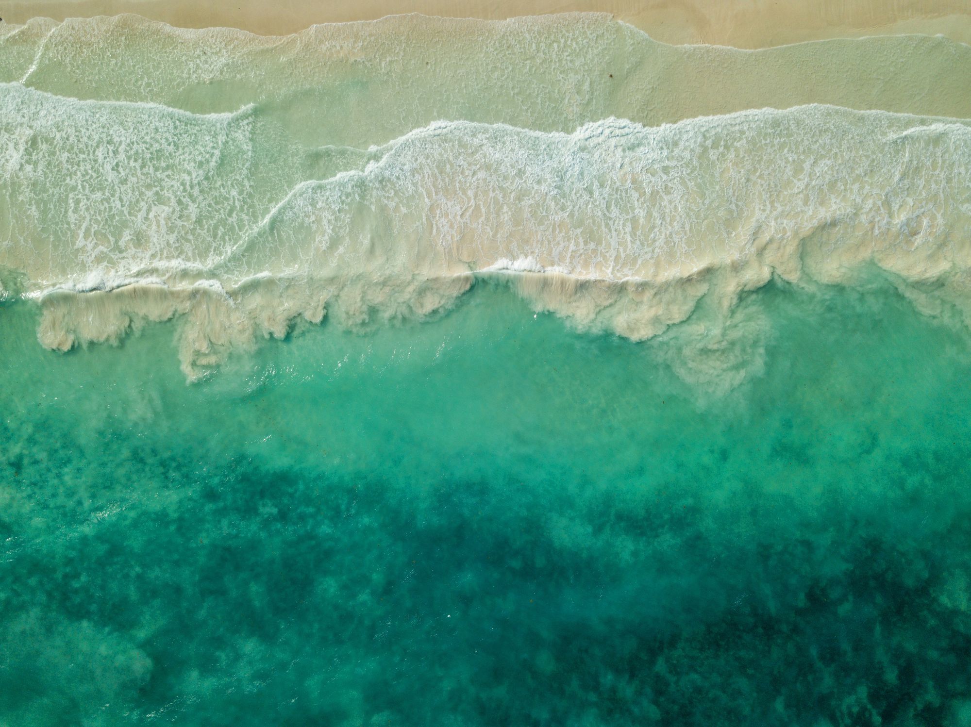 Arenablue