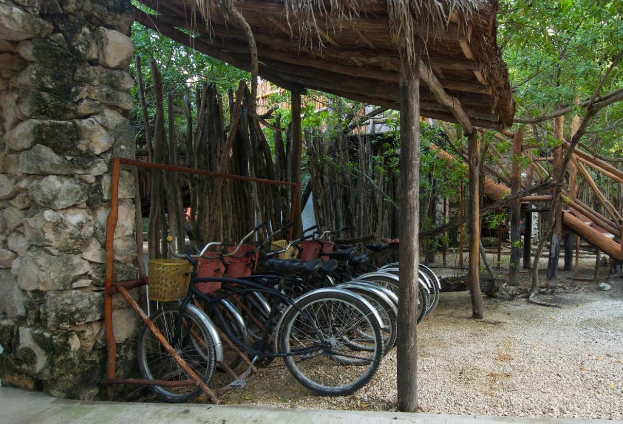 Manglex Eco 3* Tulum