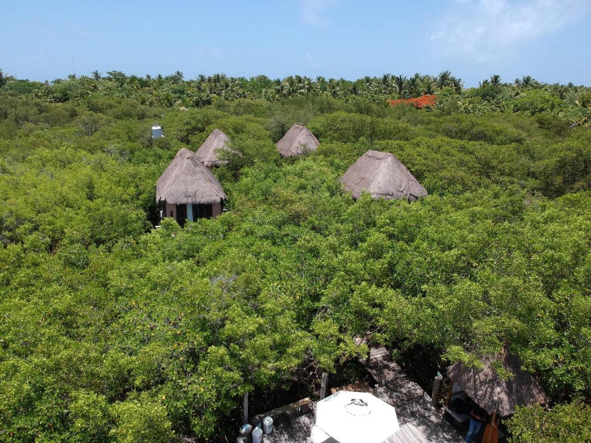 Manglex Eco Hotel Tulum