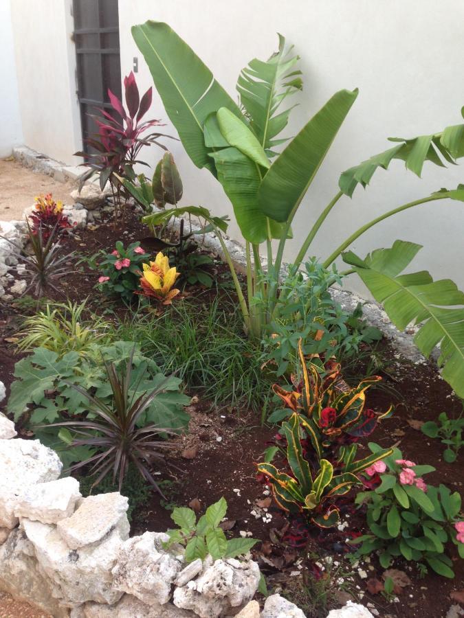 Casa Kankin