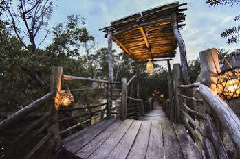 Manglex Eco 3* Tulum