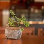 Hotel Muyu Tulum