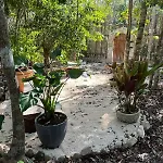Selvaluna cabaña eco-chic en medio de la selva