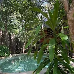 Selvaluna cabaña eco-chic en medio de la selva