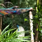 Casa Tzalam Tulum Selva