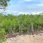 Relax Tulum Family Friendly Apartment In The In The Jungle - Pools & Cenotes