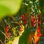 Villa Agua Y Fuego