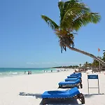 Stay In Tulum!