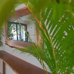 Hotel Blanco Tulum