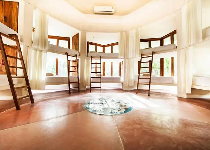 The Beehive Experience At Holistika Tulum Hotel
