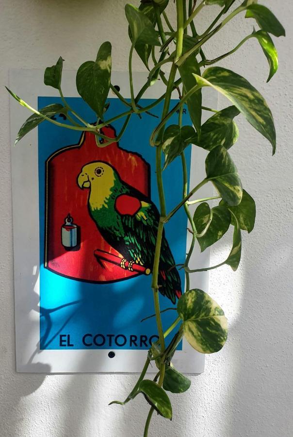 La Casona Hostal