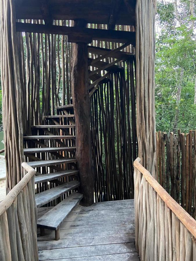 Bed and breakfast Loba Male Only 4*