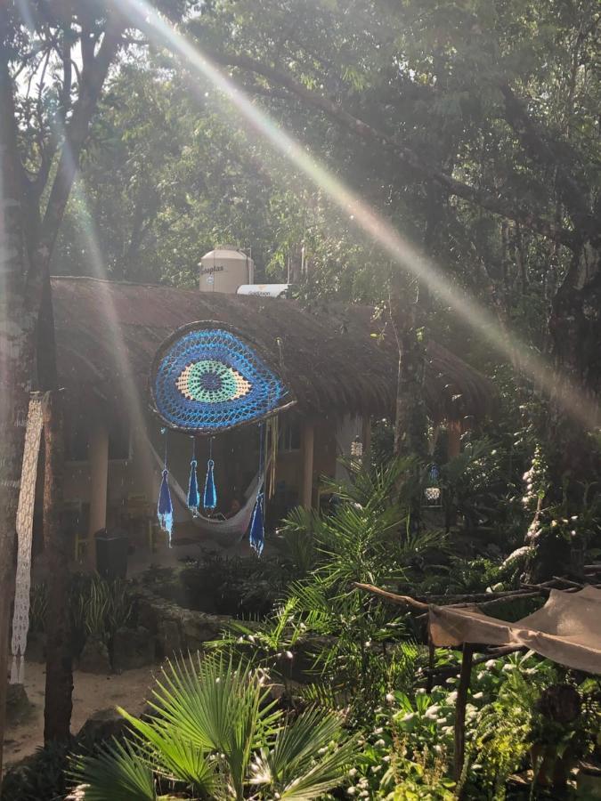 Casa Tzalam Selva 3*