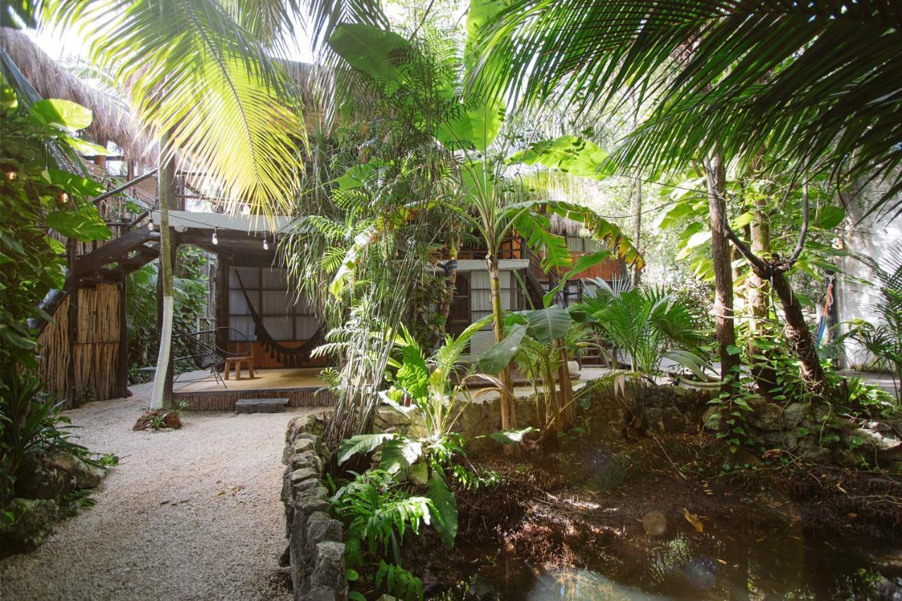 Pensión Tunich Jungle