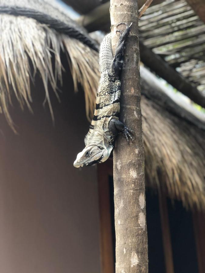 Casa Nalum Сasa de vacaciones *