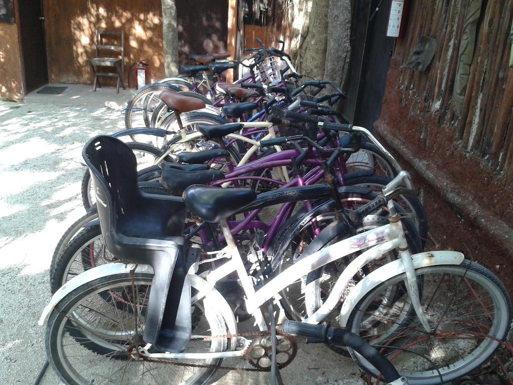 Hostel El Punto *