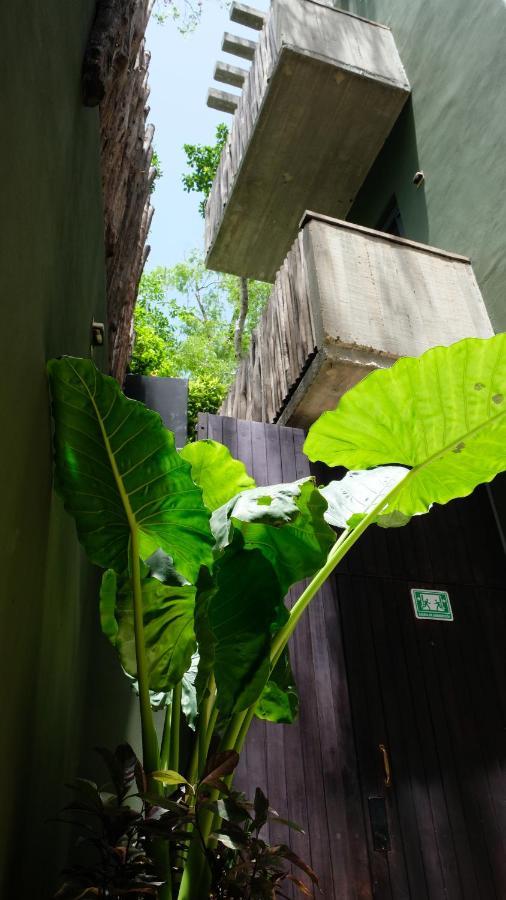 Bed and breakfast Loba Male Only Tulum