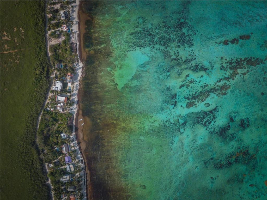 Ebb Ti Kaan Tulum-luxury Condos-