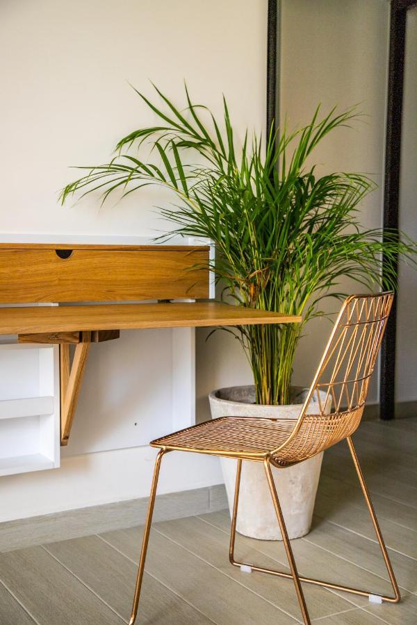 Luxury Macondo Apartahotel