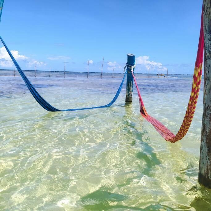 Departamento De La Armonía Y Felicidad Con Alberca * Tulum