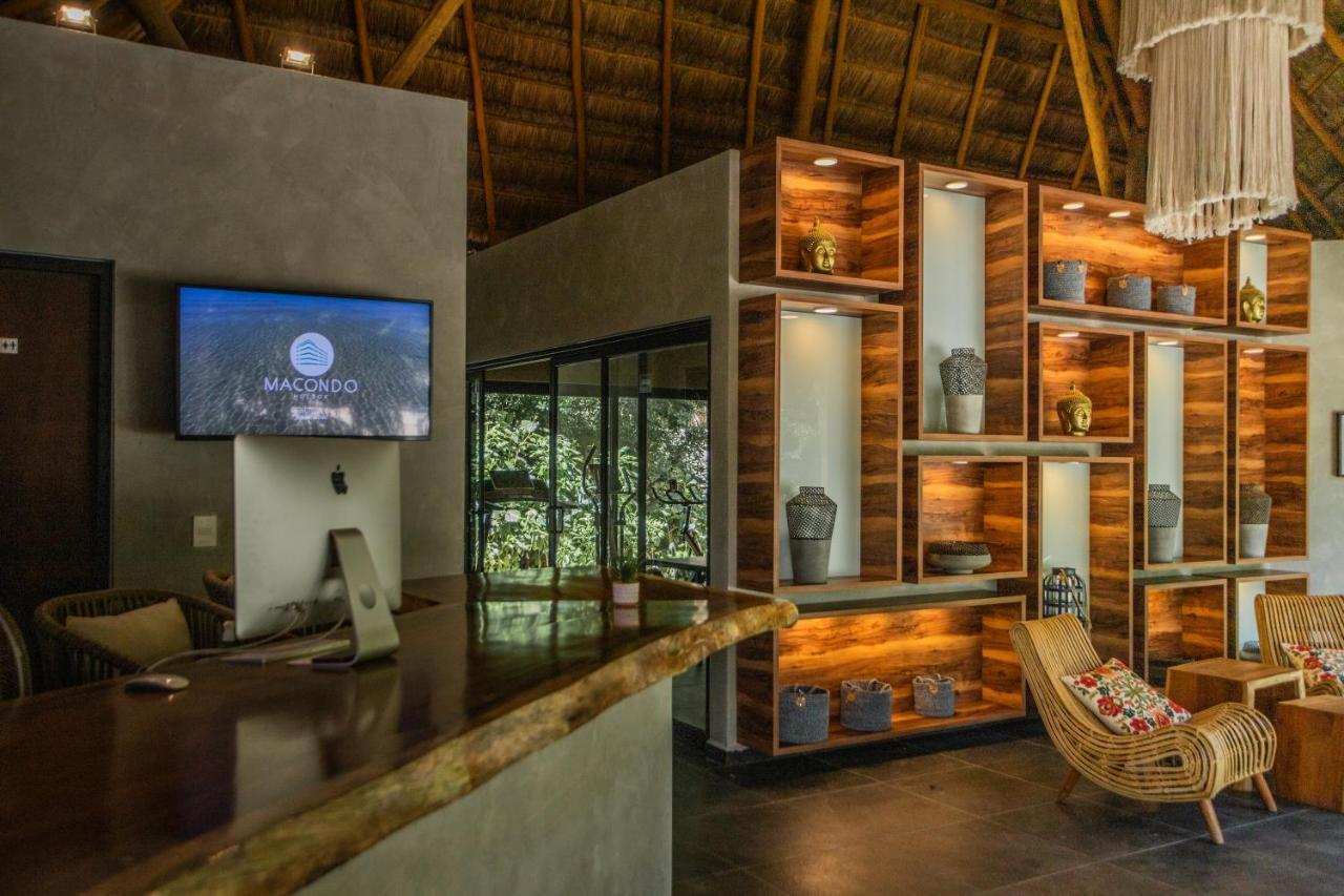 Luxury Macondo Apartahotel