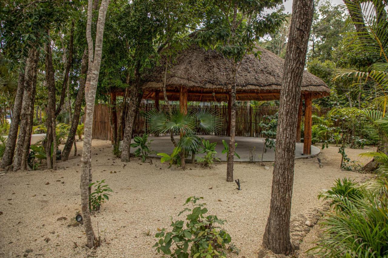 Luxury Macondo 2*