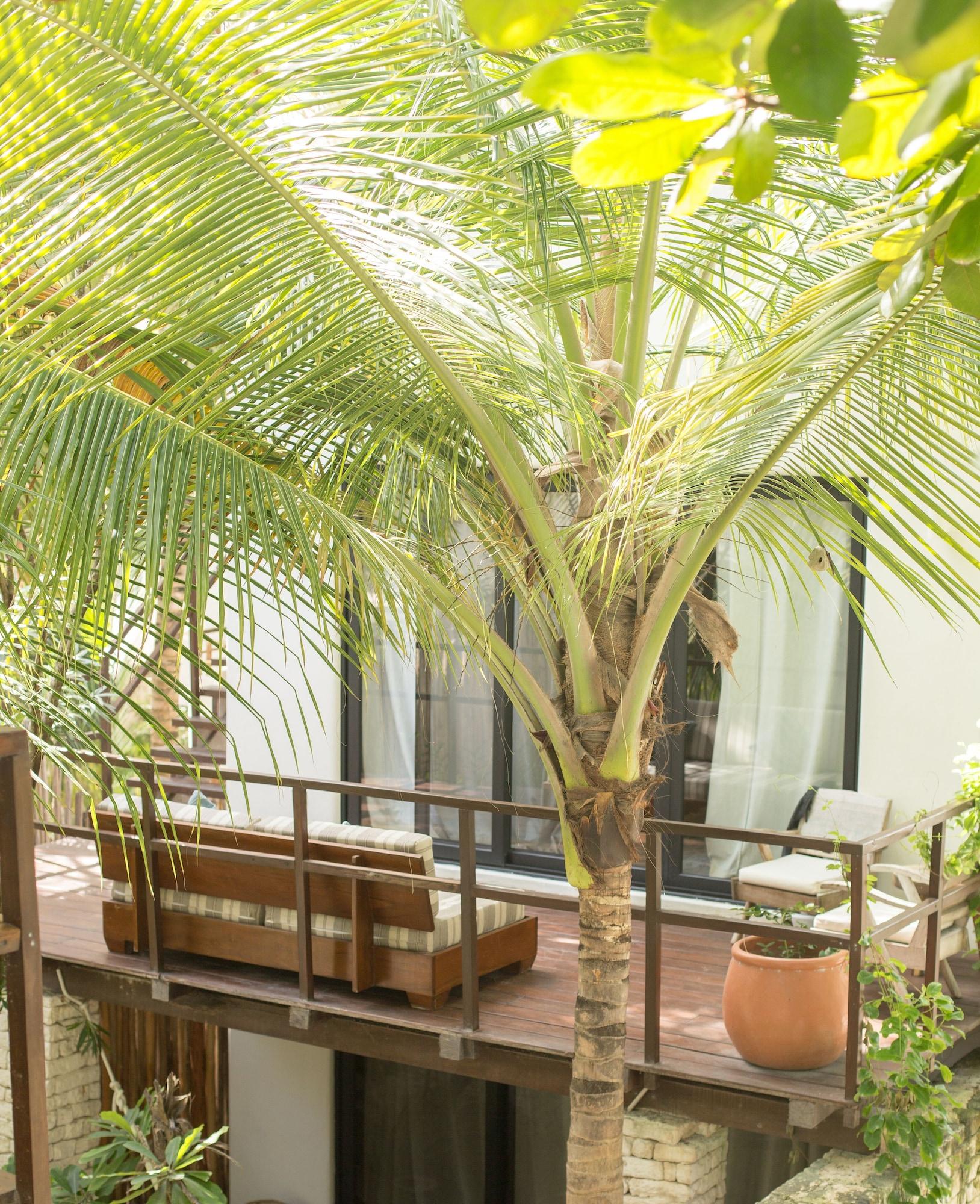 Hotel Chiringuito Tulum