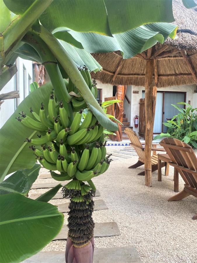 Caribeña Tulum