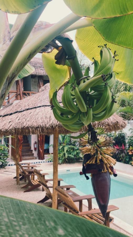 Caribeña Tulum
