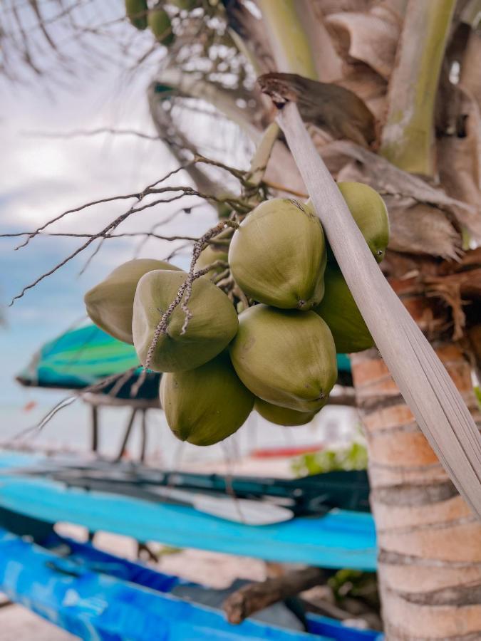 Ebb Ti Kaan Tulum-luxury Condos- Aparthotel *