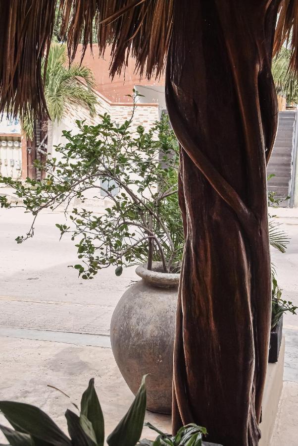 Boutique 06 (adults Only) Tulum