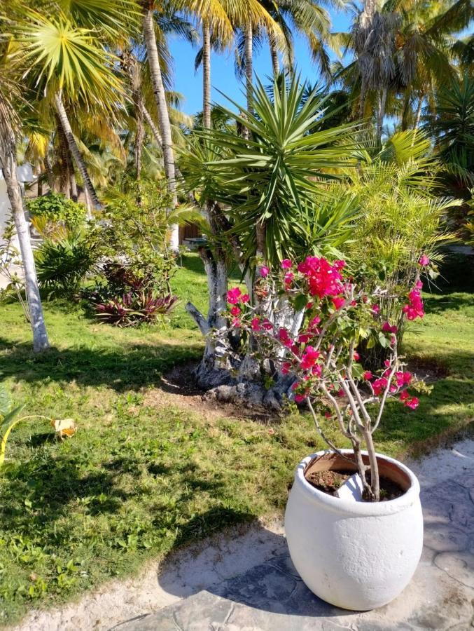 Hotel La Diosa Resort&spa 4*