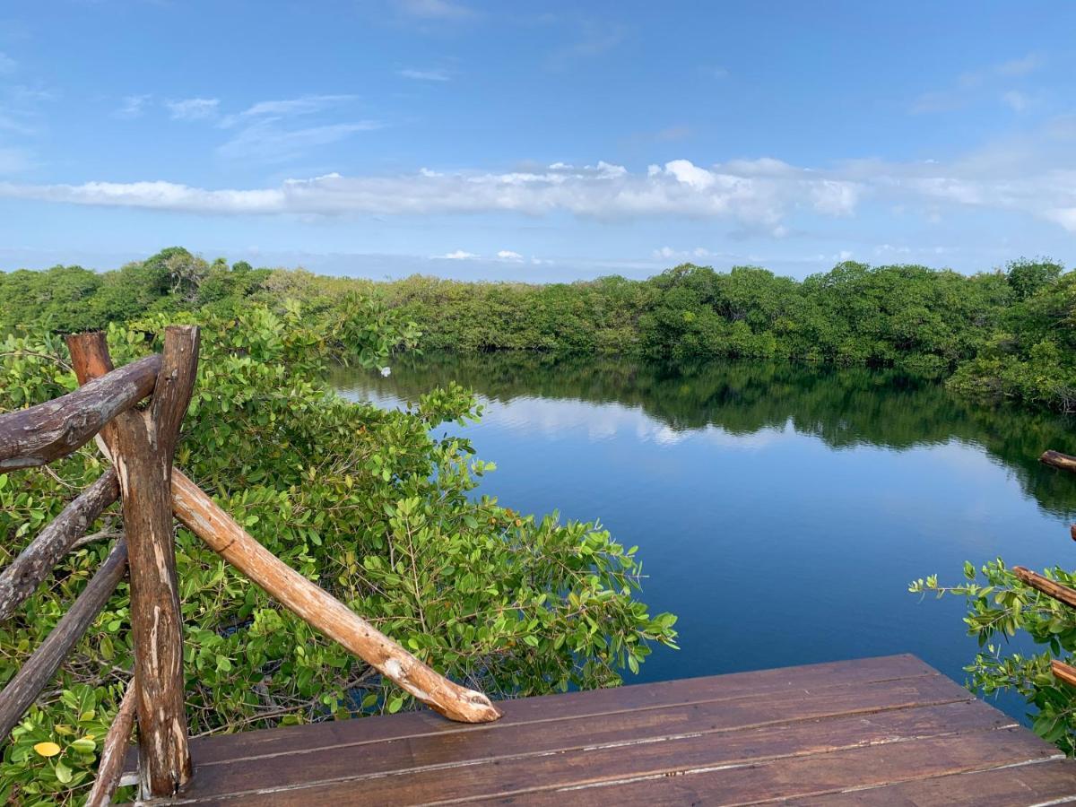 Campo de lujo Casa Borush Glamping Fruit & Cenote Experience