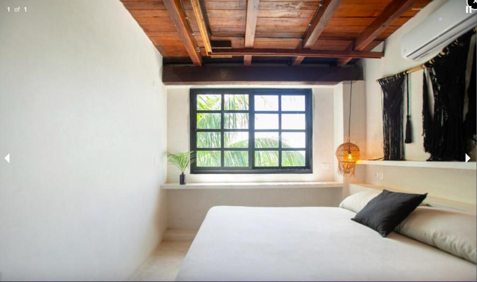 Hotel Mohave Jungle Tulum