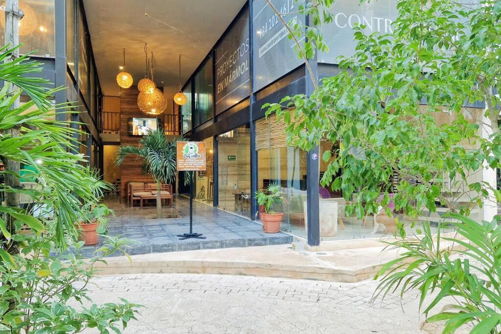 Eco-friendly And Modern Loft 4 By Noox Tulum