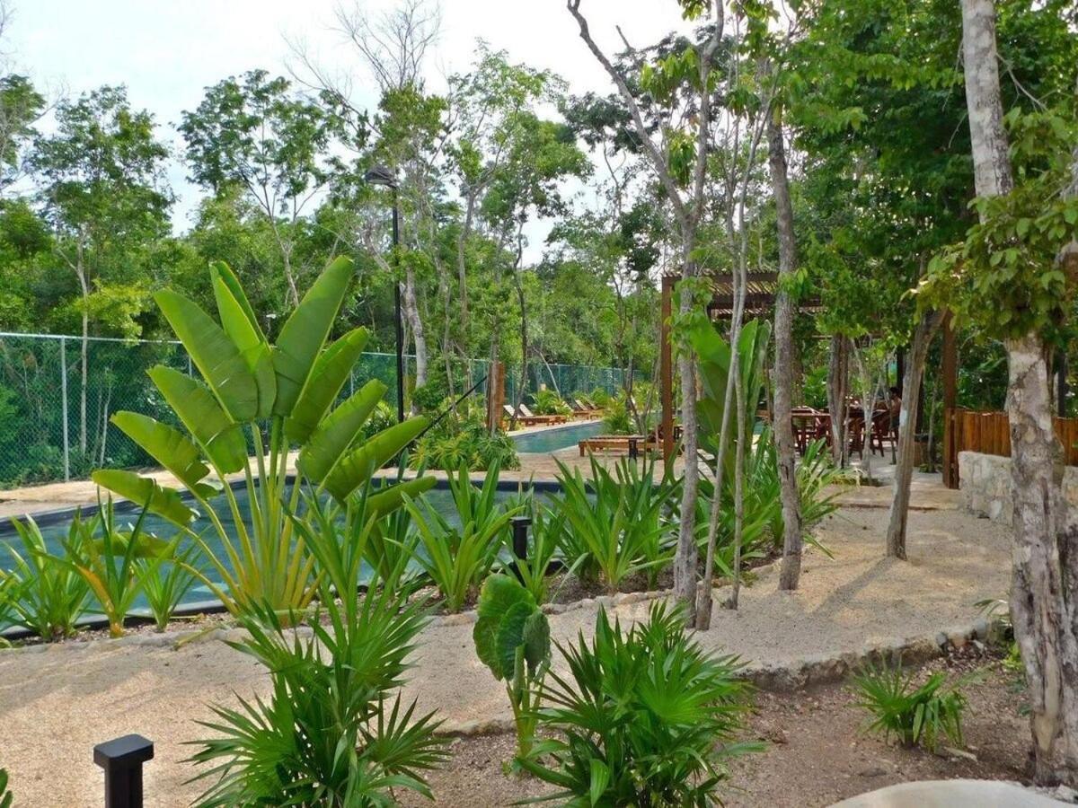 Apartamento Amplio Depto. C/terraza Privada + Hermosa Piscina Tulum