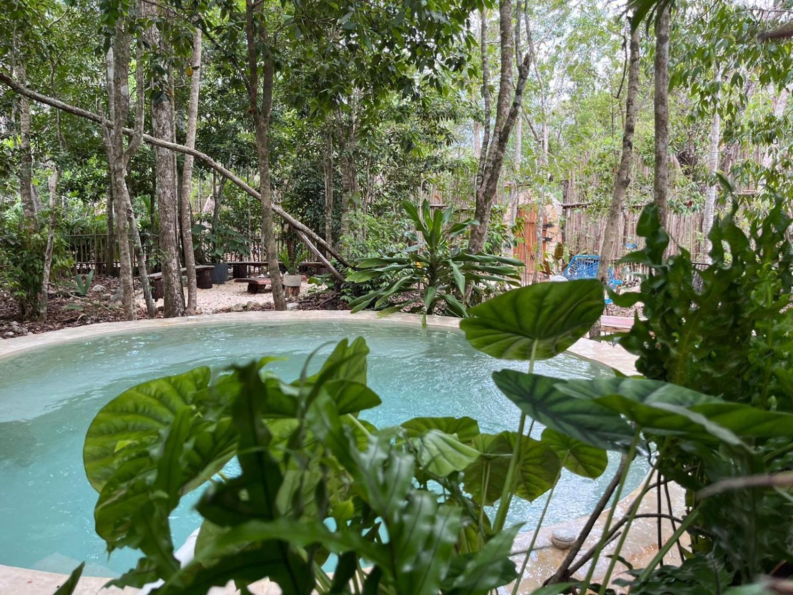 Selvaluna Eco-chic En Medio De La Selva