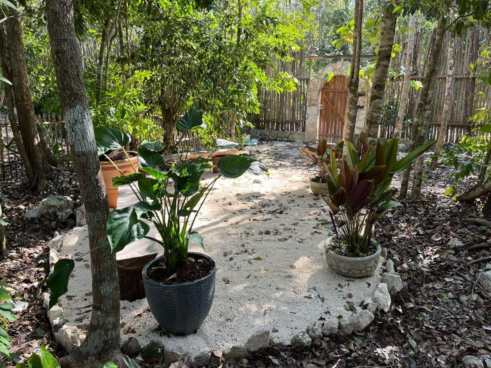 Villa Selvaluna Eco-chic En Medio De La Selva Tulum