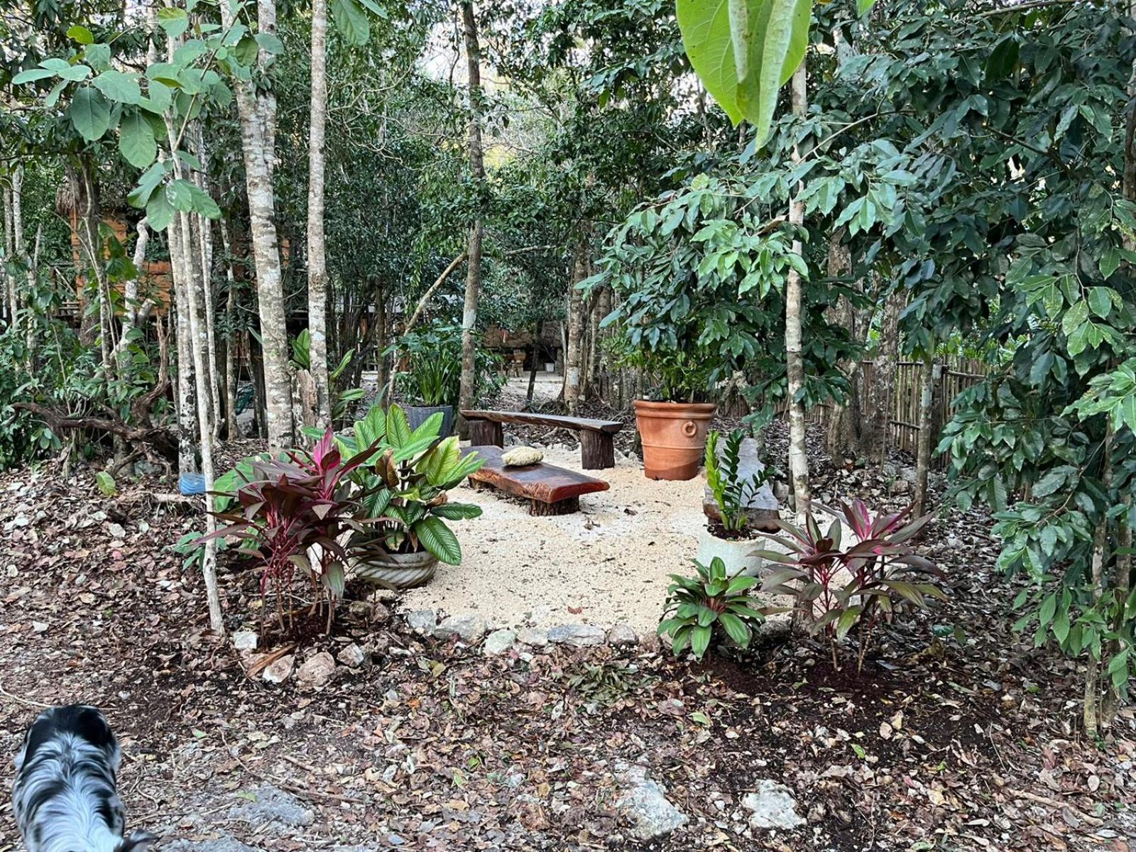 Selvaluna Eco-chic En Medio De La Selva