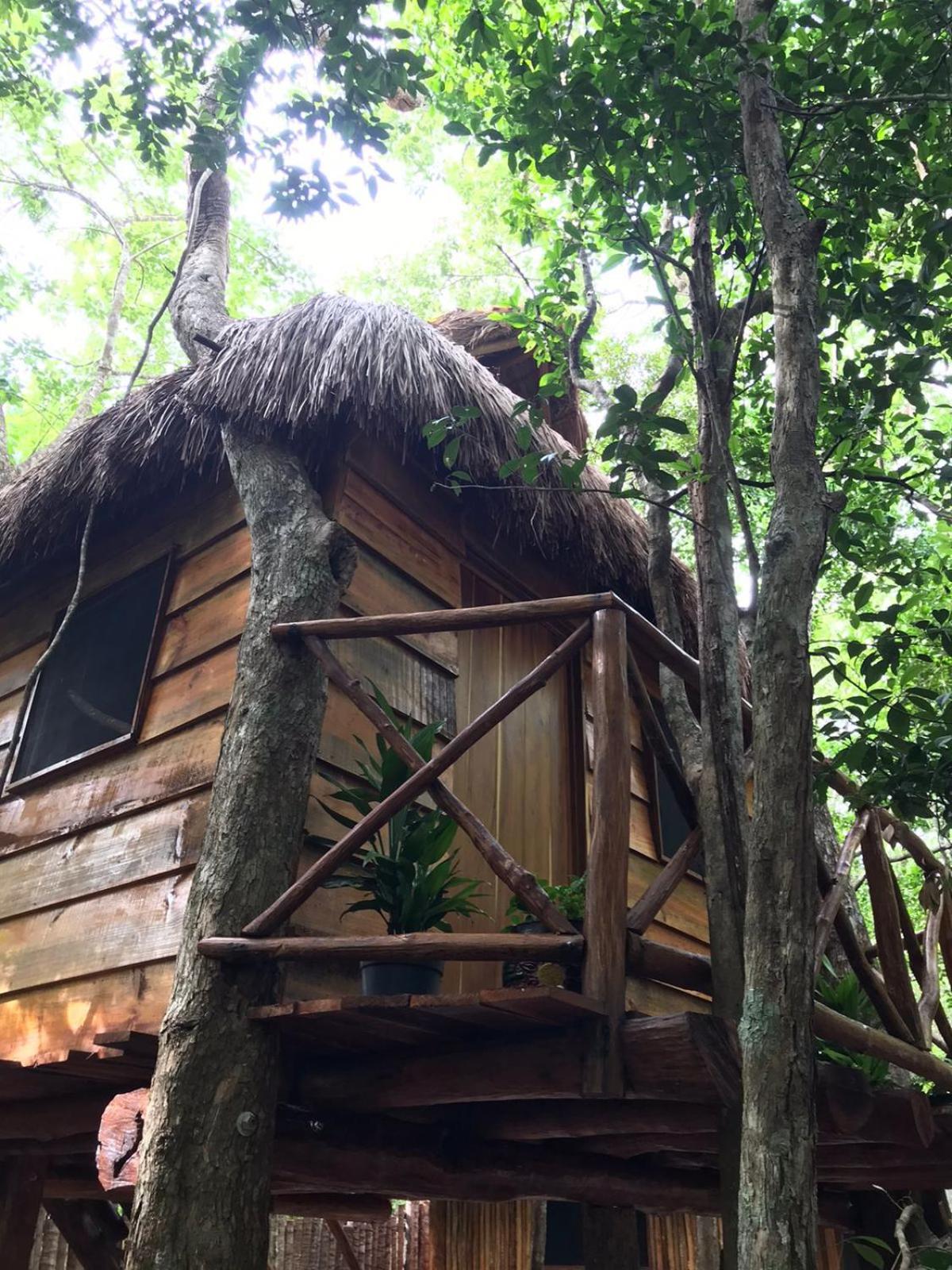 Selvaluna Eco-chic En Medio De La Selva