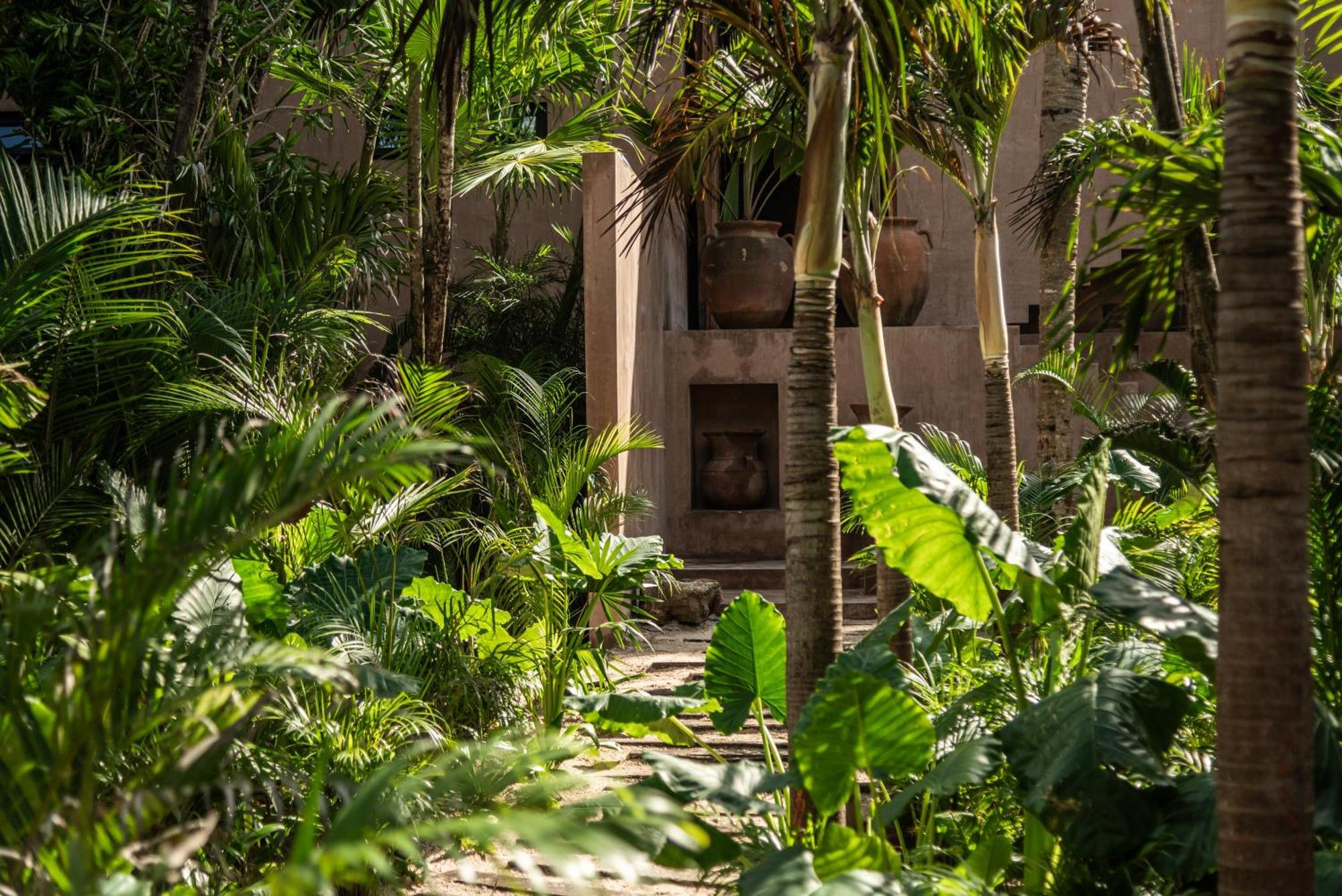 Xela - Member Of Design Tulum