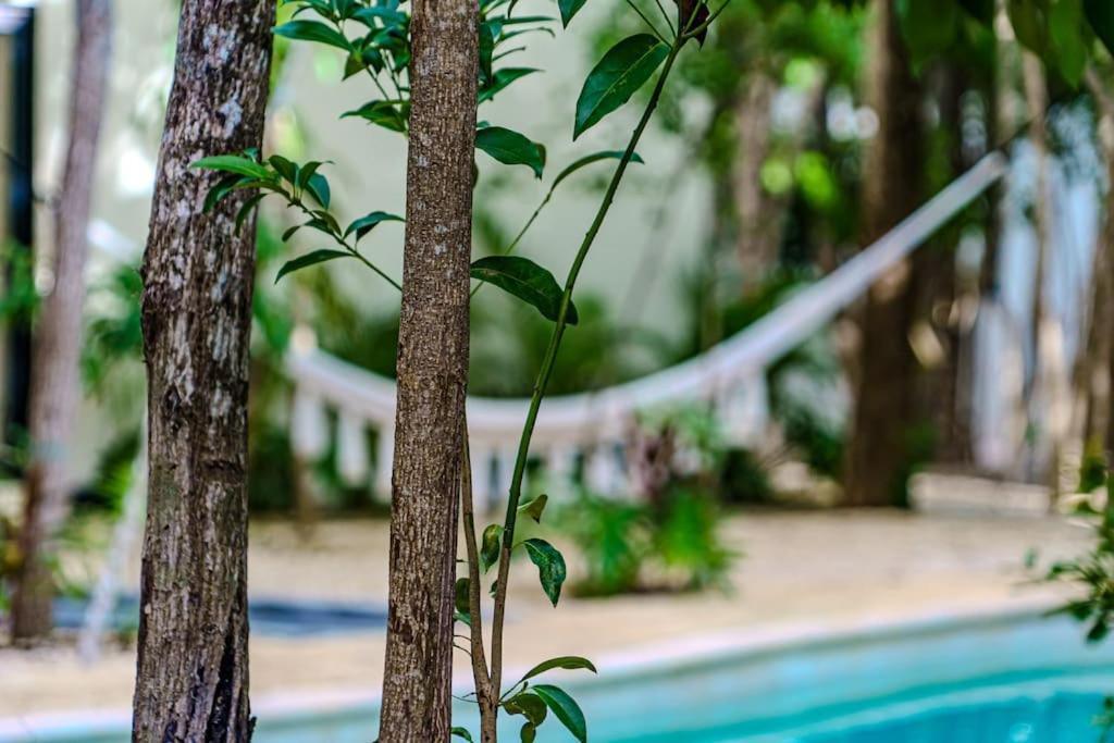 Tranquility Tulum